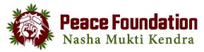Peace Foundation logo