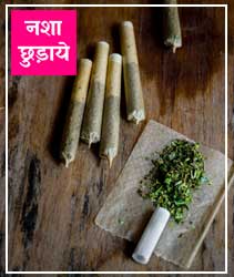 Guru Kripa Nasha Mukti Kendra